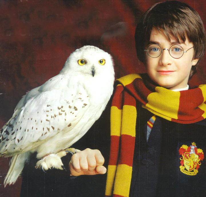 Et Joyeux Anniversaire Harry Potter 7695