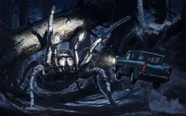 Une nouvelle espèce d'araignée nommée gryffindori en hommage au Choixpeau  magique dans Harry Potter - Sciences et Avenir