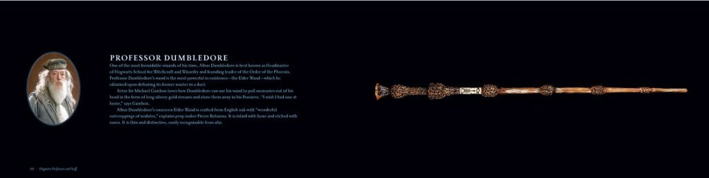 Harry Potter France on X: Voici la baguette de Sureau (celle de  Grindelwald) et l'autre baguette (celle de Dumbledore).   / X
